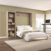 Modubox Murphy Wall Bed Pur 90" Queen Size Murphy Wall Bed with Storage Unit - Available in 7 Colours