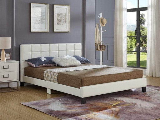 Pending - IFDC Bed If-5422 - Available in 2 Sizes and 2 Colours