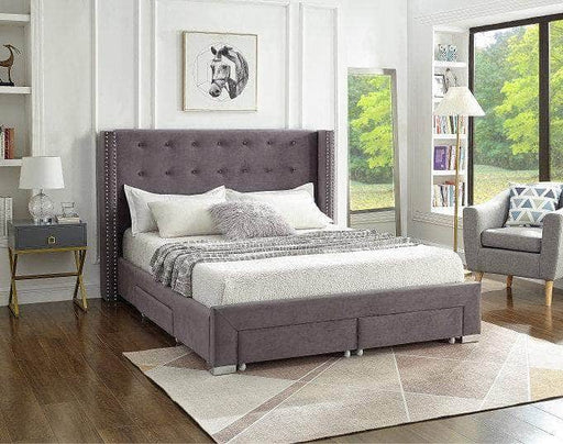 Pending - IFDC Grey Velvet Fabric Wing Bed with Nailhead Details and Chrome Legs - Available in 4 Colours
