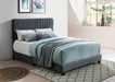 Pending - IFDC Velvet Platform Bed - Available in 3 Sizes