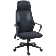 Aosom Office Chair High Back Ergonomic Executive Office Chair with Massage Lumbar Support