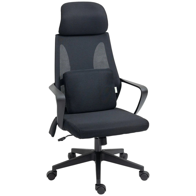 Aosom Office Chair High Back Ergonomic Executive Office Chair with Massage Lumbar Support