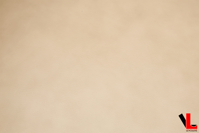 Levoluxe Chair Carter 35" Power Reclining Chair in Leather Match - Available in 2 Colours