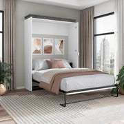 Modubox Murphy Wall Bed Orion Queen Murphy Wall Bed (67") - Available in 2 Colours