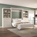 Modubox Murphy Wall Bed Pur Queen Murphy Wall Bed and 2 Storage Units with Drawers (136”) - Available in 6 Colours