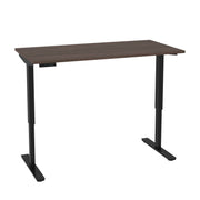 Modubox Standing Desk Antigua Universel Height Adjusting 30" x 60"  Standing Desk - Available in 6 Colours
