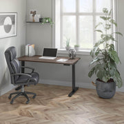 Modubox Standing Desk Universel Height Adjusting 30" x 60"  Standing Desk - Available in 6 Colours