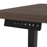 Modubox Standing Desk Universel Height Adjusting 30" x 60"  Standing Desk - Available in 6 Colours