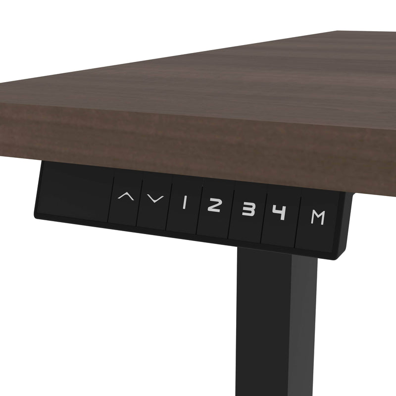 Modubox Standing Desk Universel Height Adjusting 30" x 60"  Standing Desk - Available in 6 Colours