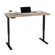 Modubox Standing Desk Universel Height Adjusting 30" x 60"  Standing Desk - Available in 6 Colours