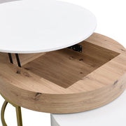 Pending - Aosom Modern Round Lift-Top Nesting Coffee Tables with Hydraulic Lifting System - Available in 2 Colours