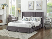 Pending - IFDC Bed If-5310 - Available in 2 Sizes and 3 Colours