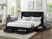 Pending - IFDC Bed If-5310 - Available in 2 Sizes and 3 Colours