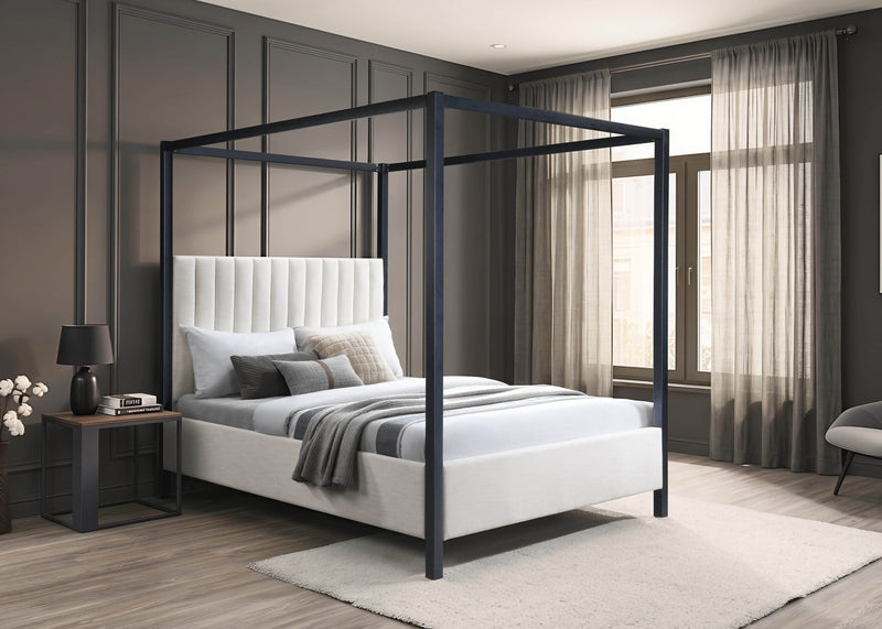 Pending - IFDC Queen IF-5932 - Available in 2 Sizes