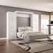 Pending - Modubox Murphy Wall Bed Pur Murphy Bed with Closet Storage Cabinets (115W) - Available in 7 Colours