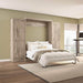 Pending - Modubox Murphy Wall Bed Pur  Murphy Bed with Storage Cabinets (115W) - Available in 7 Colours