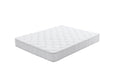 Pending - Brassex Inc. Mattress 8" Euro Top Pocket Coil Mattress - Available in 3 Sizes