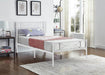 Pending - IFDC Metal Platform Bed - Available in 2 Colours