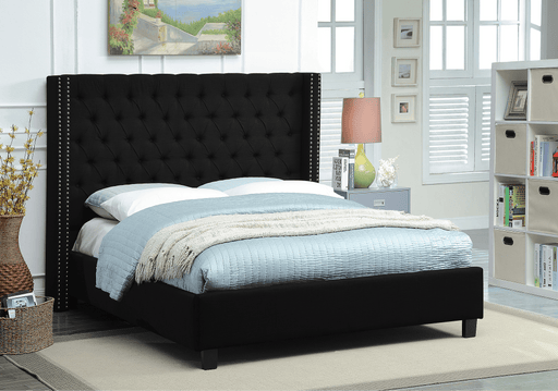 Pending - IFDC Queen / Black Bed - Available in 3 Colours and 2 Sizes