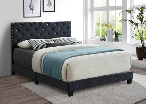 Pending - IFDC Velvet Bed with Nailhead and Rhinestone Accents - Available in 3 Sizes and 3 Colours