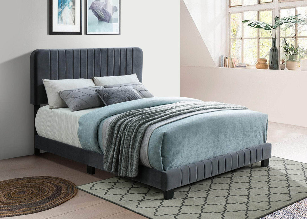 Pending - IFDC Velvet Platform Bed - Available in 3 Sizes