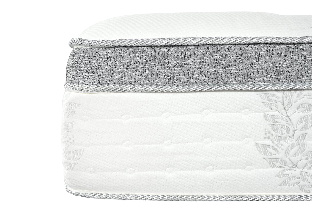 Pending - Primo International Mattress Kinley 14" Euro Top Pocket Coil Mattress - Available in 4 Sizes