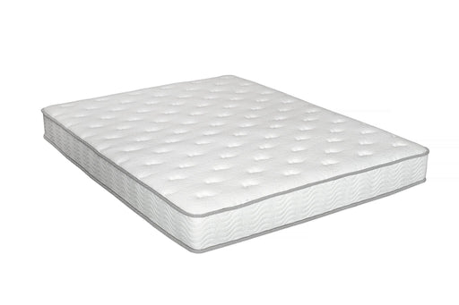 Pending - Primo International Mattress Rhapsody 8" Pocket Coil Mattress - Available in 4 Sizes