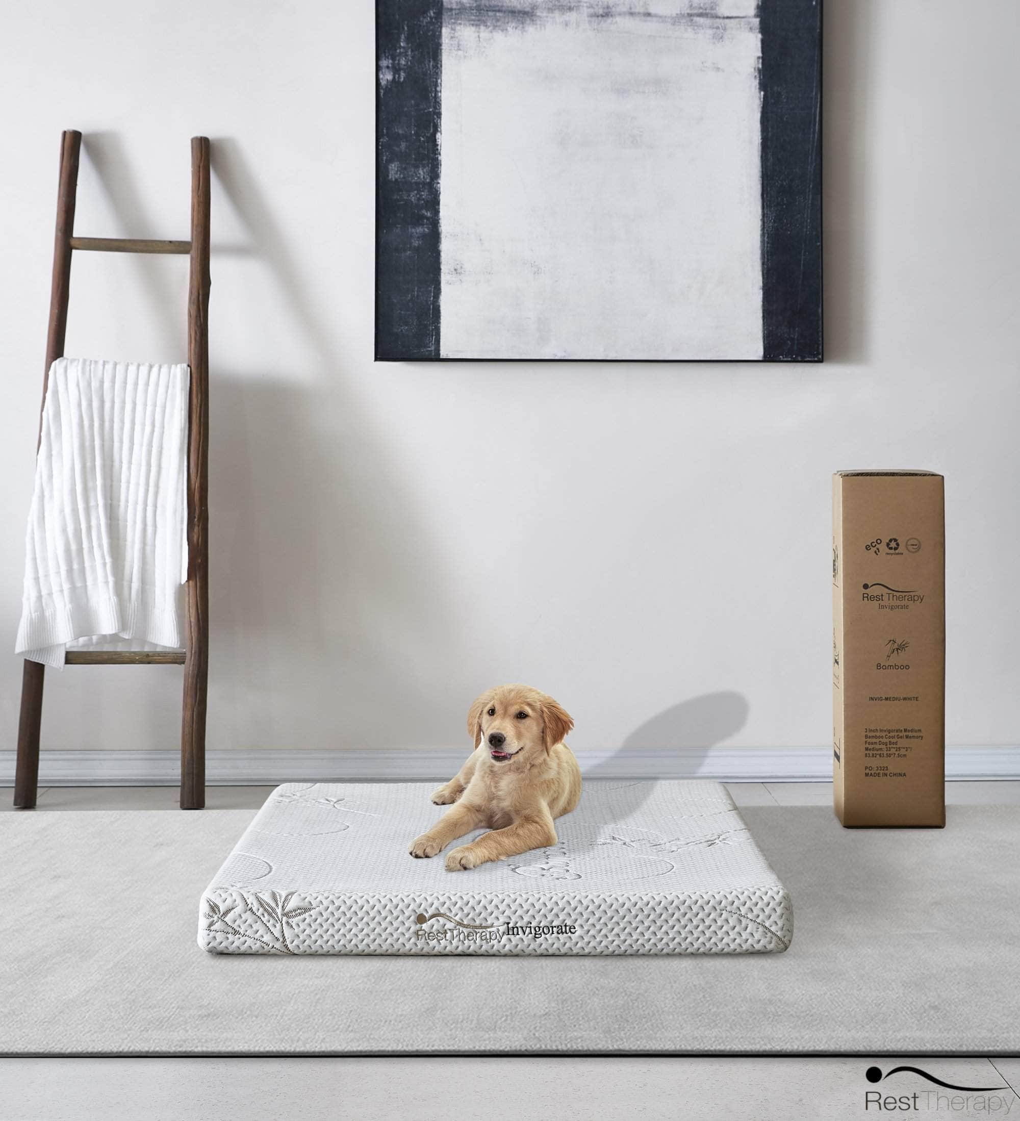 Pending - Rest Therapy 3 Inch Invigorate Bamboo Cool Gel Memory Foam Dog Bed - Available in 3 Sizes